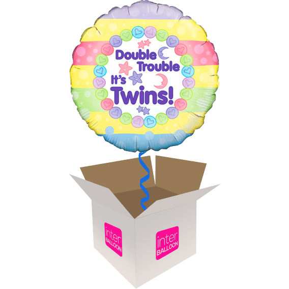 Double Trouble It's Twins - only £15.99