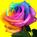 Add a Happy Rose to your Helium Balloon in a Box!