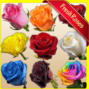 Add a beautiful fresh rose