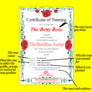 Add a FREE Name a Rose!